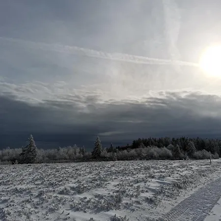 Du Cerf * Birkenwald