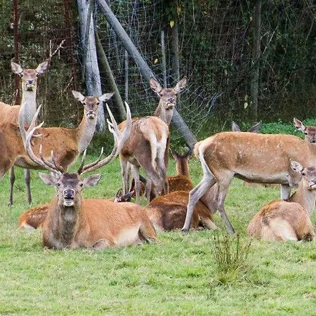 Du Cerf Holiday home