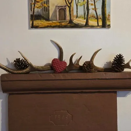 Du Cerf * Birkenwald