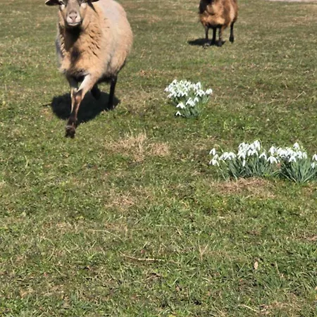 Du Cerf Dom wakacyjny