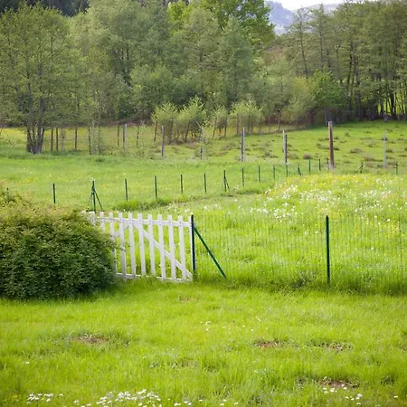 Dom wakacyjny Du Cerf Birkenwald